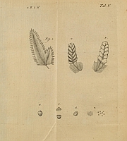  no thumbnail available