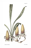  no thumbnail available