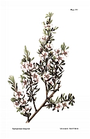  no thumbnail available