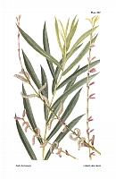  no thumbnail available