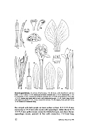 no HD illustration available (5) 