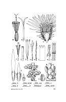  no thumbnail available