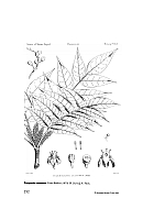 no HD illustration available (5) 