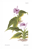  no thumbnail available