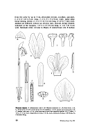  no thumbnail available