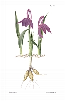  no thumbnail available