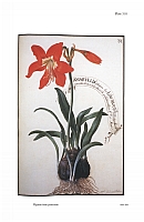  no thumbnail available