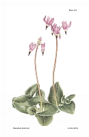  no thumbnail available