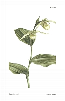  no thumbnail available