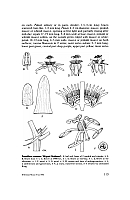  no thumbnail available