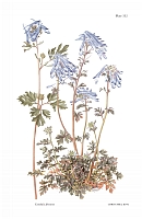  no thumbnail available