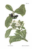  no thumbnail available