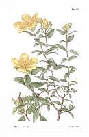  no thumbnail available