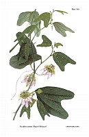  no thumbnail available