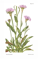  no thumbnail available