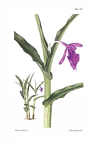  no thumbnail available