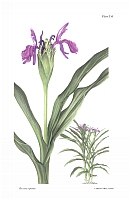  no thumbnail available