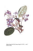  no thumbnail available