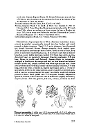 no HD illustration available (5) 