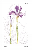  no thumbnail available