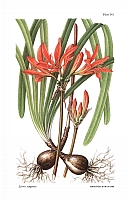  no thumbnail available