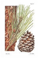  no thumbnail available