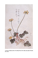  no thumbnail available