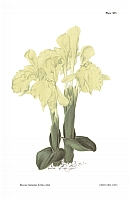  no thumbnail available