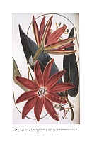  no thumbnail available