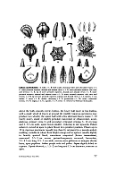  no thumbnail available