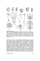  no thumbnail available