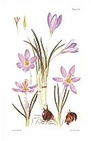  no thumbnail available