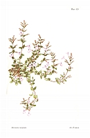  no thumbnail available