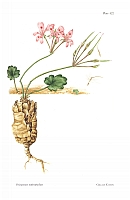  no thumbnail available