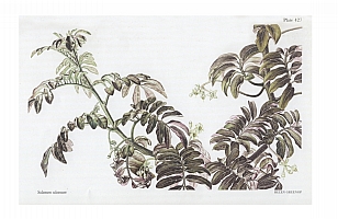  no thumbnail available