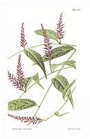  no thumbnail available