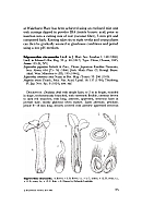  no thumbnail available