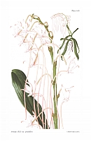  no thumbnail available