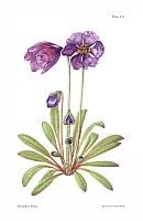  no thumbnail available