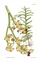  no thumbnail available