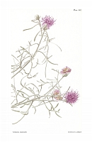  no thumbnail available