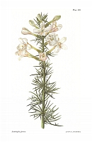  no thumbnail available