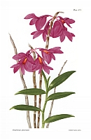  no thumbnail available