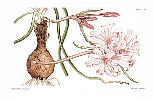  no thumbnail available