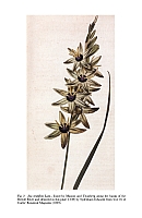  no thumbnail available