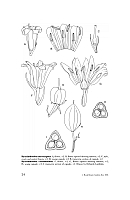  no thumbnail available