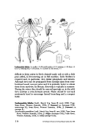  no thumbnail available