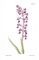  no thumbnail available