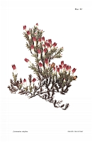  no thumbnail available