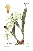  no thumbnail available